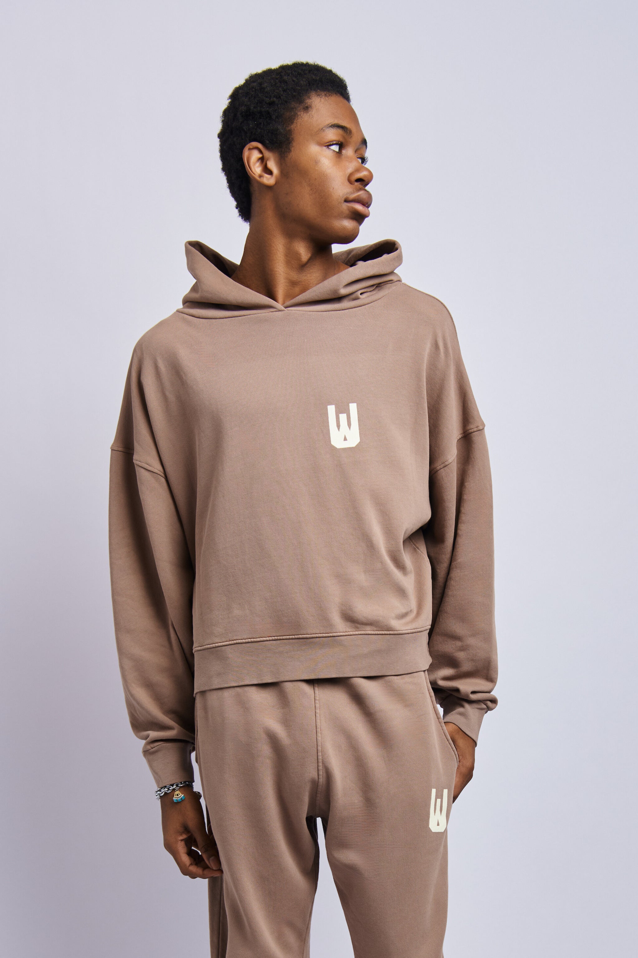 Men's Organic Icon Print Hoodie, Desert Clay