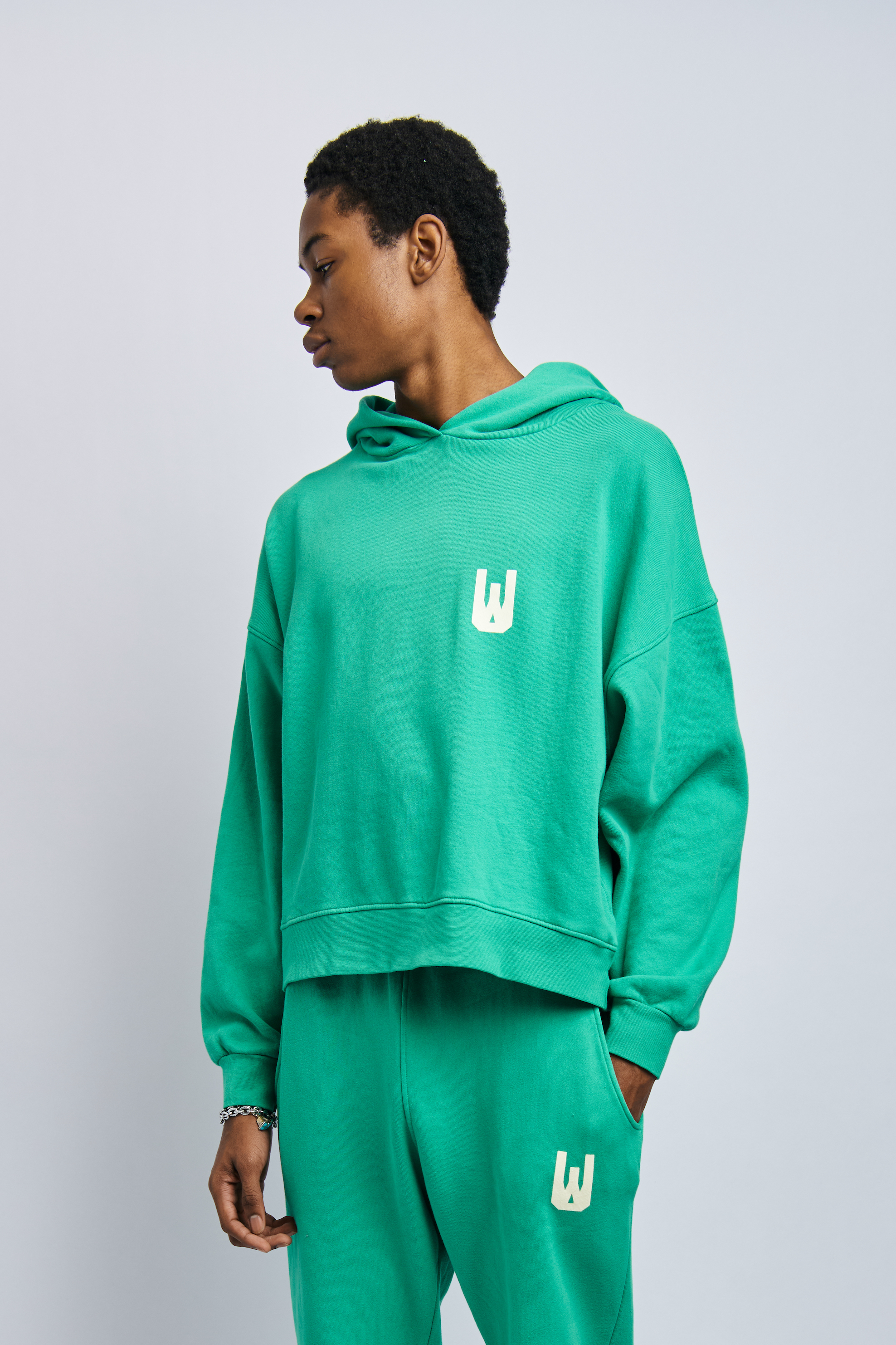 Men's Organic Icon Print Hoodie, Digital Green